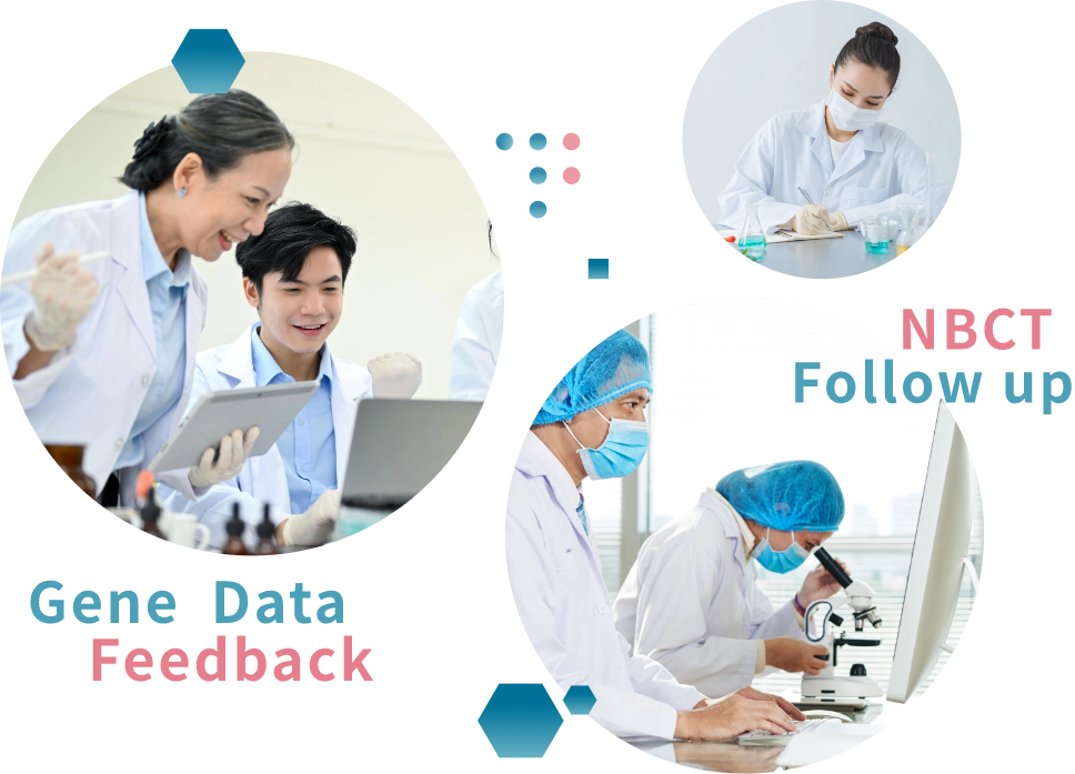 校務資料倉儲系統主視覺